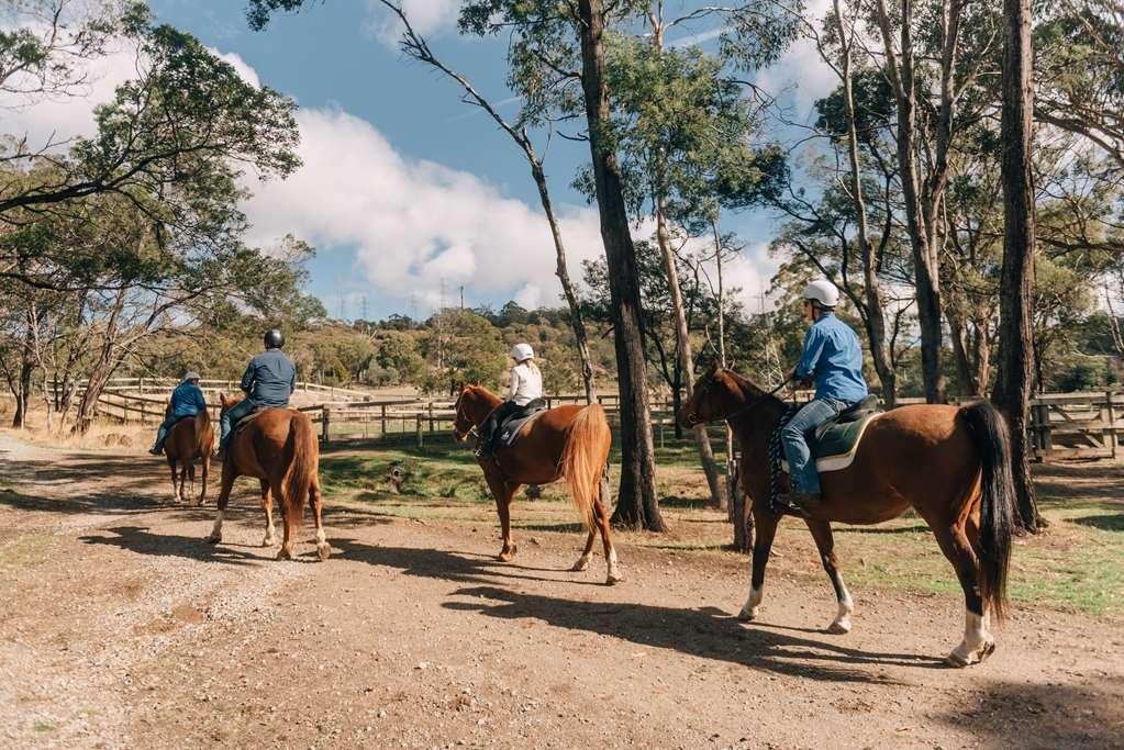 Country Club Tasmania Ξενοδοχείο Λόντσεστον Εξωτερικό φωτογραφία