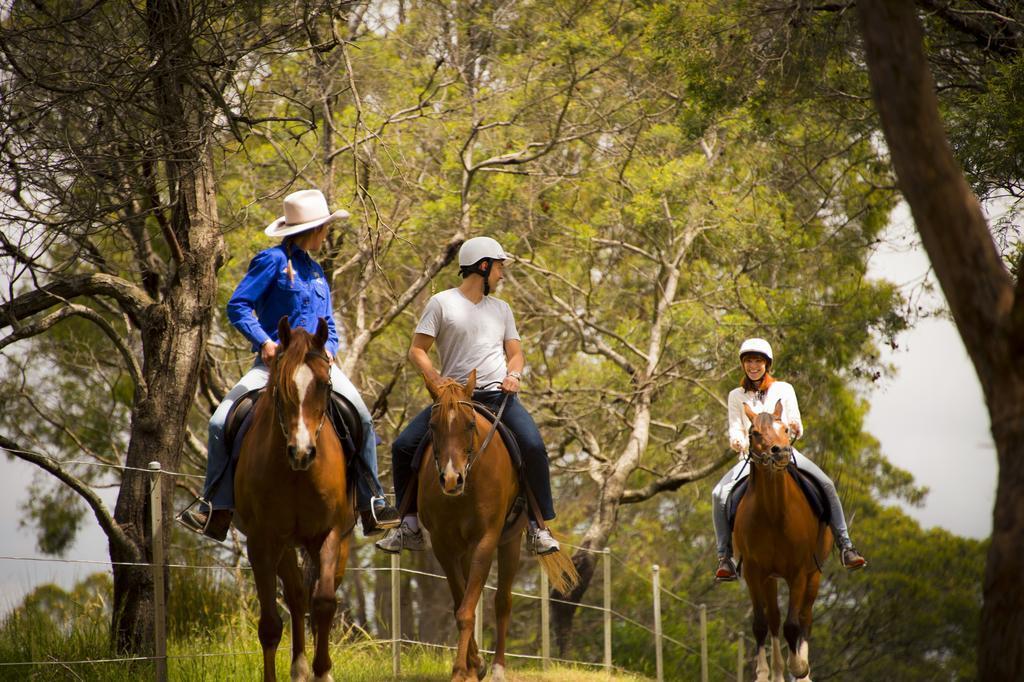 Country Club Tasmania Ξενοδοχείο Λόντσεστον Εξωτερικό φωτογραφία