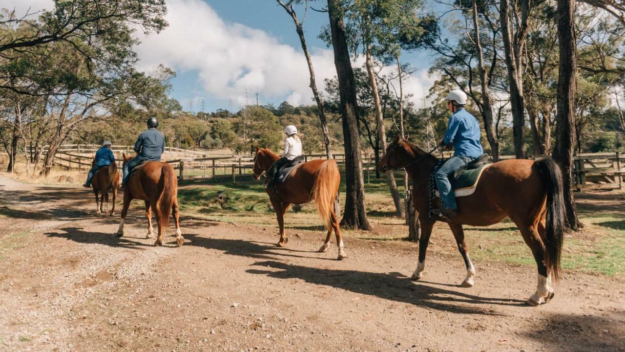 Country Club Tasmania Ξενοδοχείο Λόντσεστον Εξωτερικό φωτογραφία